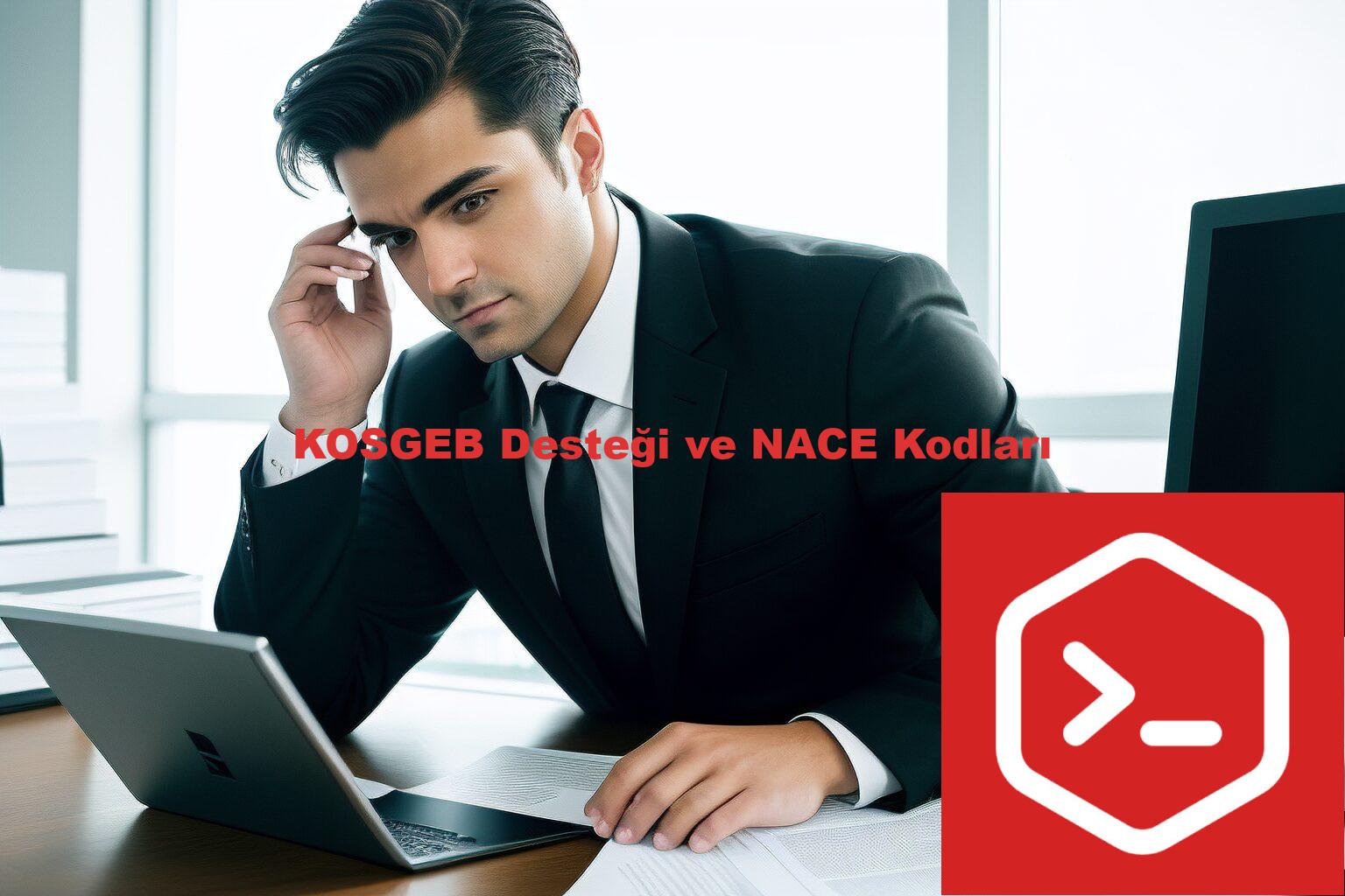 KOSGEB Desteği ve NACE Kodları