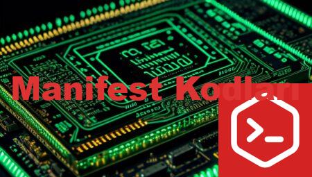 Manifest Kodları