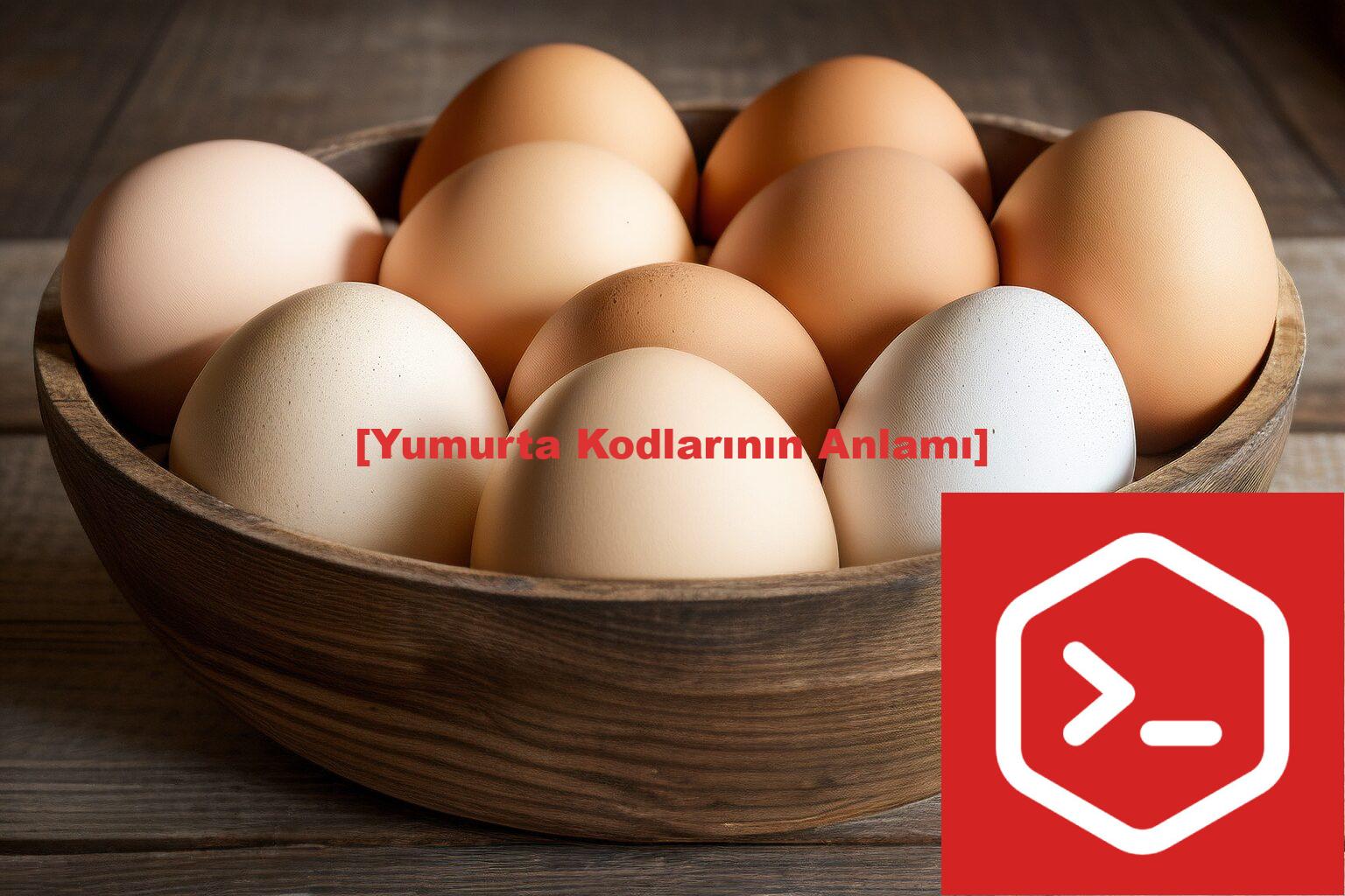 [Yumurta Kodlarının Anlamı]