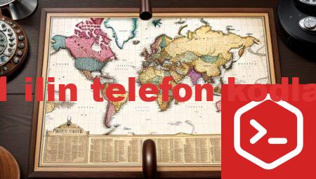 81 ilin telefon kodları