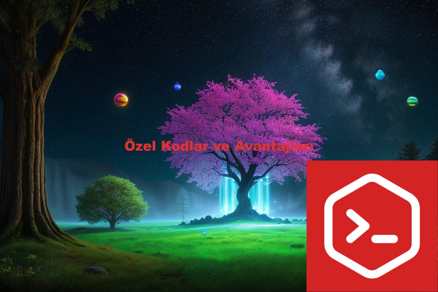 Özel Kodlar ve Avantajları